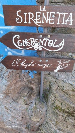Il fagiolo magico Viterbo